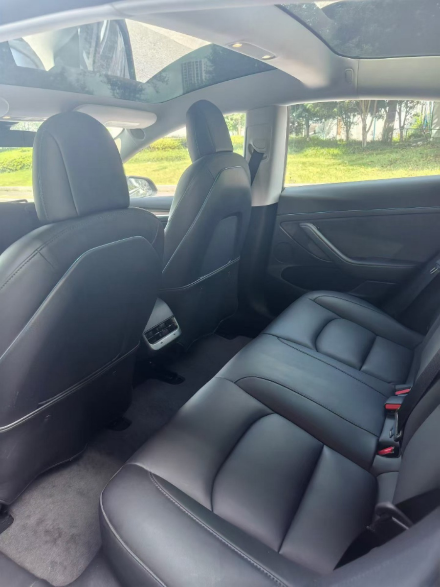 Tesla Model 3 2021 #7 Tesla Model 3 2021 car image #7