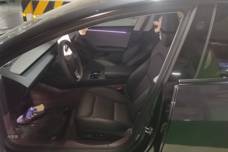 Tesla Model 3 2025 imagem de carro #18