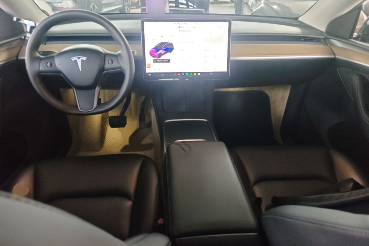 Tesla Model Y 2021 car image #10