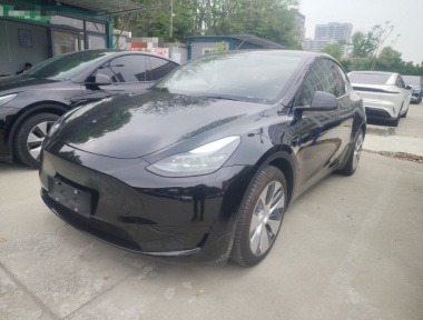 Tesla Model Y 2022 car image 