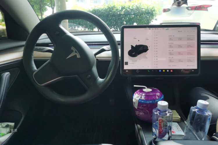 Tesla Model 3 2022 car image #11