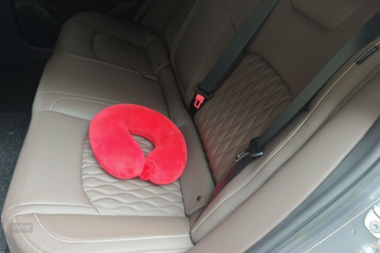 BYD Han 2023 car image #19