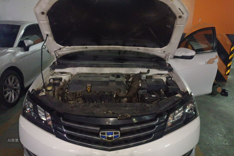 GEELY Emgrand 2016 car image #22