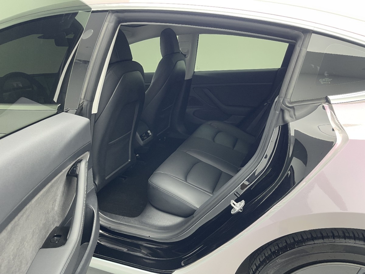 Tesla Model 3 2020 immagine di auto #6