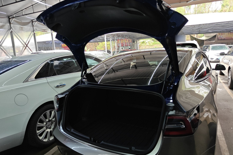 Tesla Model 3 2020 #19 Tesla Model 3 2020 car image #19