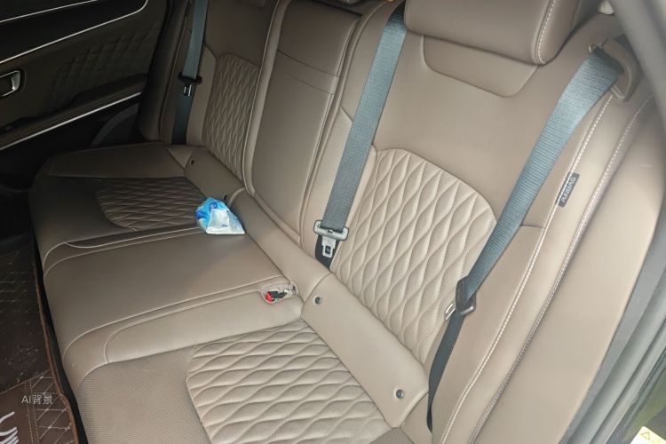 BYD Han 2022 car image #19