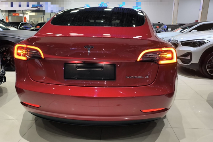 Tesla Model 3 2020 car image #4