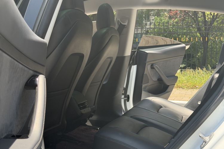 Tesla Model 3 2020 car image #16
