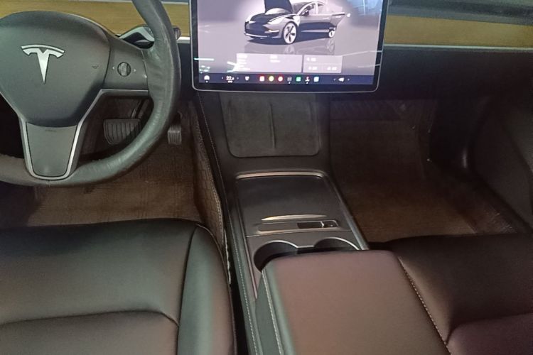 Tesla Model 3 2022 #14 Tesla Model 3 2022 car image #14