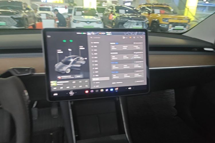 Tesla Model 3 2020 #13 Tesla Model 3 2020 car image #13