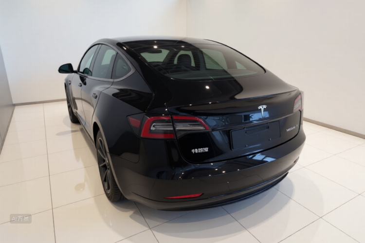 Tesla Model 3 2021 car image #5