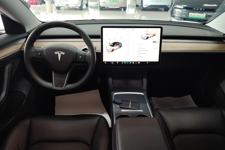 Tesla Model 3 2023 car image #10