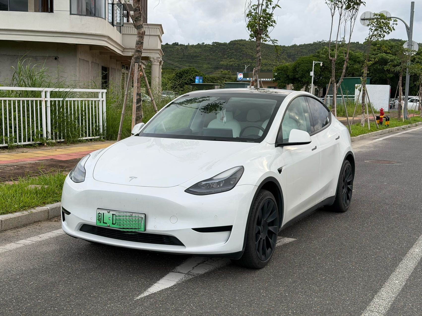 Tesla Model Y 2024 car image 