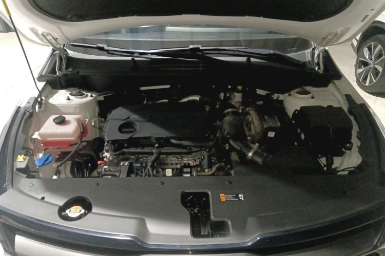 起亚 狮铂拓界 2022 汽车图片 #20