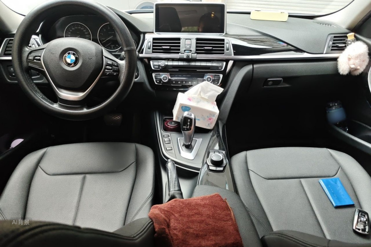 BMW 3 Series 2017 car image #11