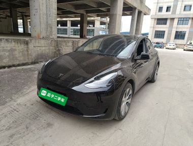 Tesla Model Y 2023 Tesla Model Y 2023 car image