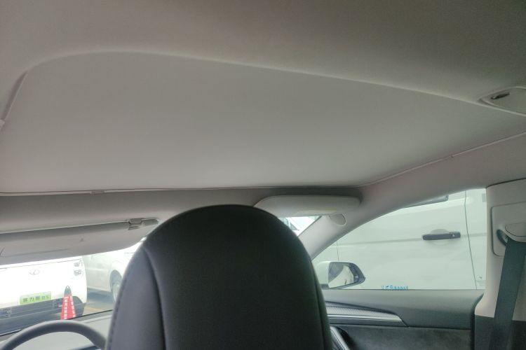 Tesla Model 3 2021 #20 Tesla Model 3 2021 immagine di auto #20