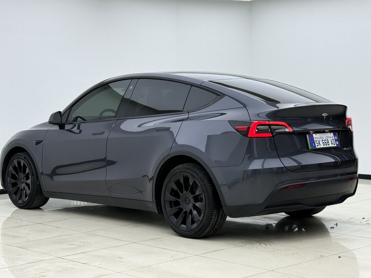 Tesla Model Y 2021 #9 Tesla Model Y 2021 car image #9