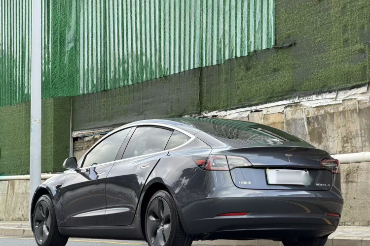 Tesla Model 3 2020 car image #5
