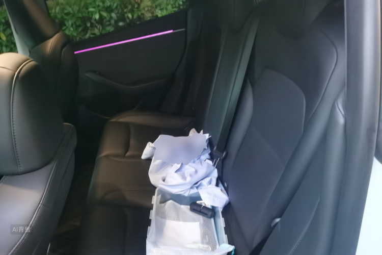Tesla Model 3 2023 car image #19