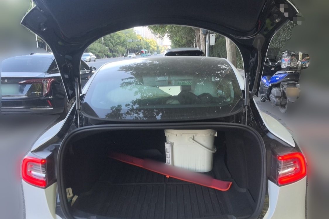 Tesla Model 3 2020 #8 Tesla Model 3 2020 car image #8