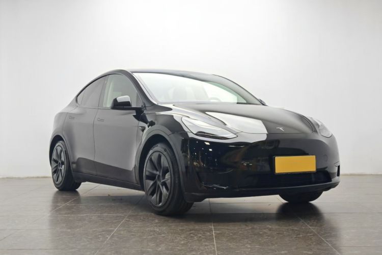 Tesla Model Y 2024 car image #4