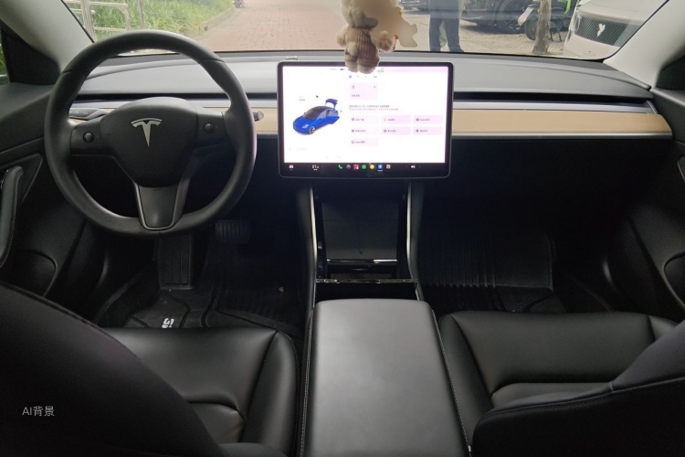 Tesla Model 3 2020 car image #11