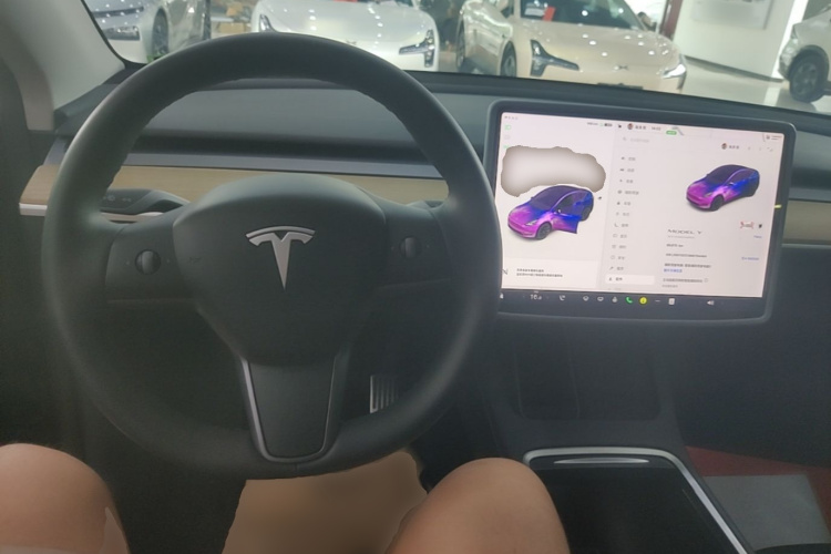 Tesla Model Y 2021 #10 Tesla Model Y 2021 car image #10
