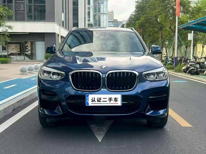 BMW X3 2019 car image 