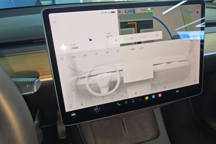 Tesla Model Y 2021 car image #13