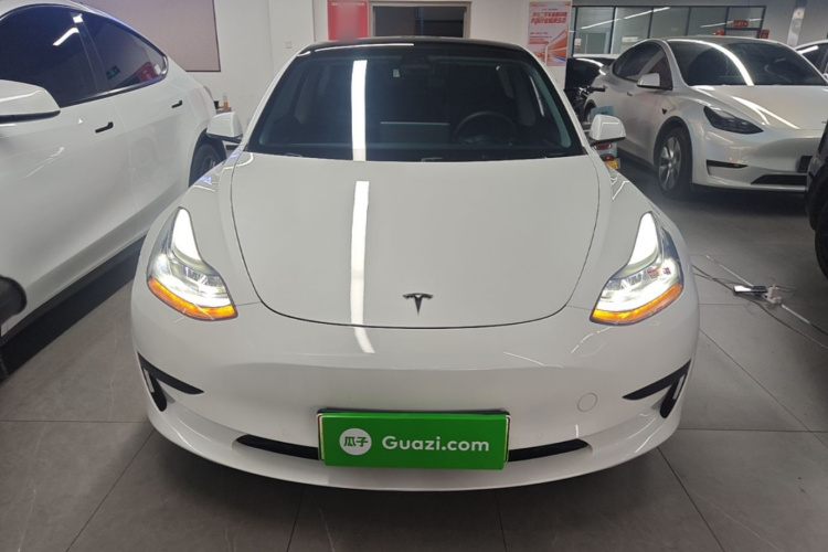 Tesla Model 3 2023 #3 Tesla Model 3 2023 car image #3