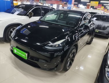 Tesla Model Y 2023 car image 