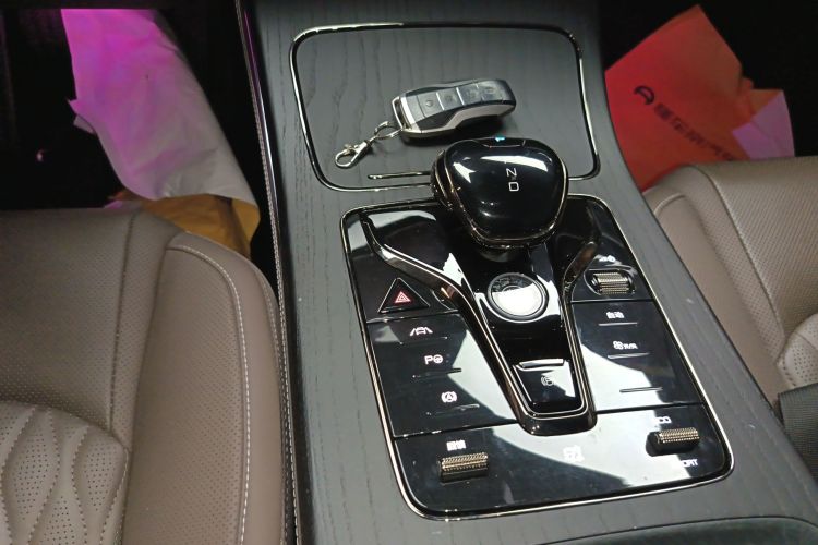 BYD Han 2021 imagen de coche #14