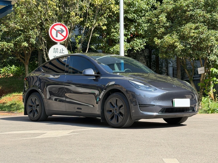 Tesla Model Y 2024 immagine di auto #3