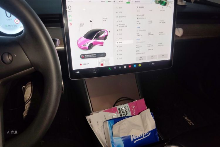 Tesla Model 3 2020 car image #15