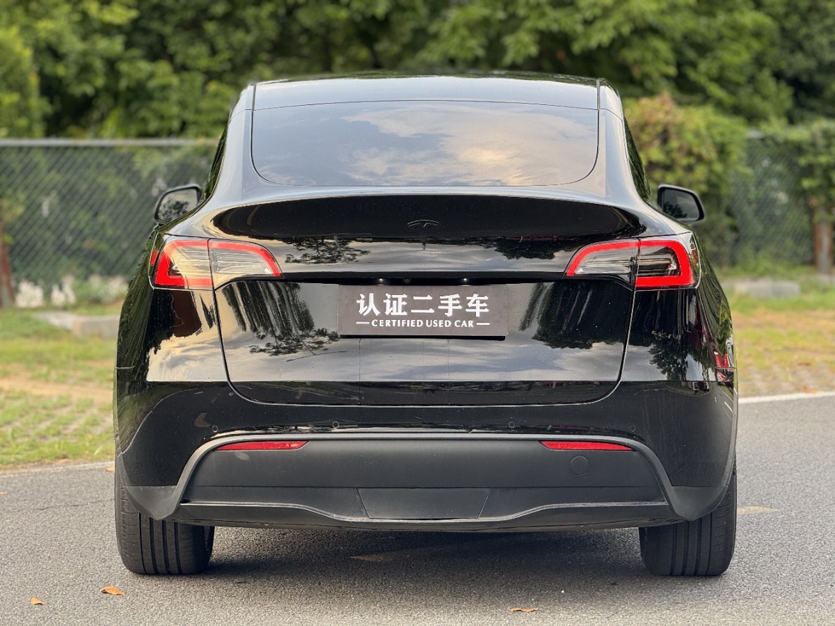 Tesla Model Y 2021 car image #7