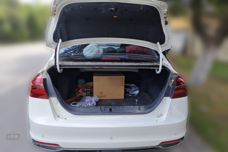 GEELY Emgrand 2020 car image #21