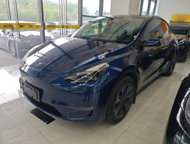 Tesla Model Y 2021 car image 