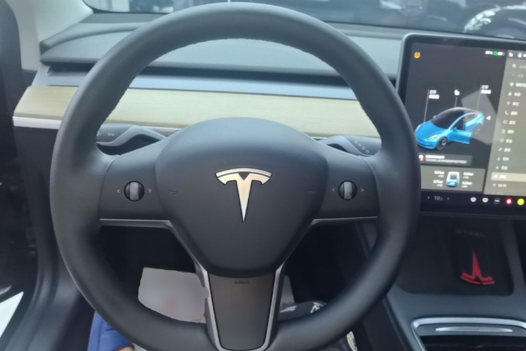 Tesla Model 3 2021 #11 Tesla Model 3 2021 car image #11