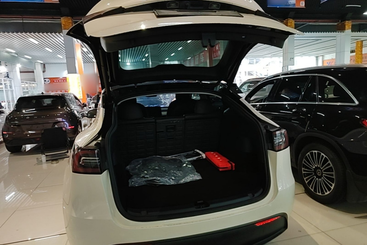 Tesla Model Y 2021 #19 Tesla Model Y 2021 car image #19