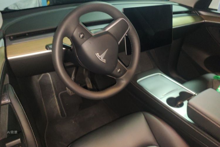 Tesla Model Y 2023 car image #12