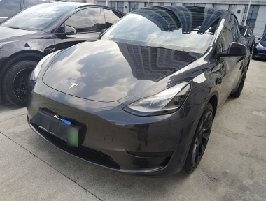 Tesla Model Y 2024 car image 