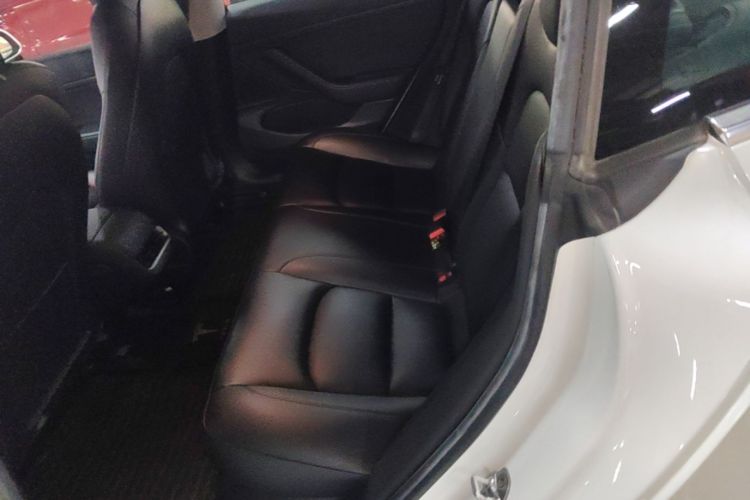 Tesla Model 3 2020 #17 Tesla Model 3 2020 صورة سيارة #17