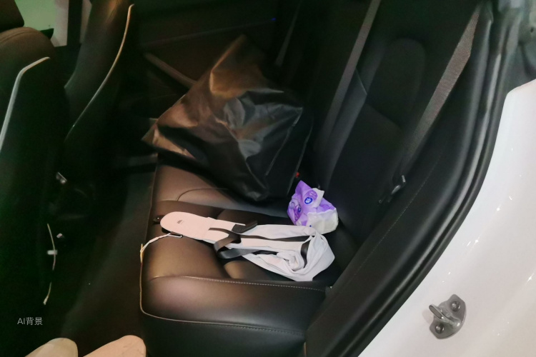 Tesla Model 3 2020 #19 Tesla Model 3 2020 car image #19