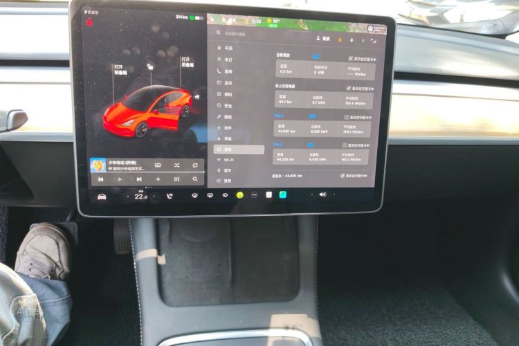 Tesla Model 3 2021 #15 Tesla Model 3 2021 car image #15