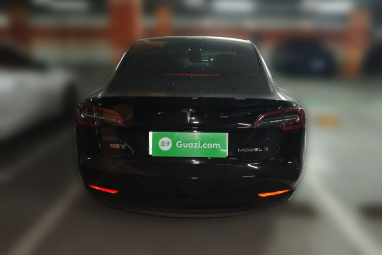 Tesla Model 3 2021 #6 Tesla Model 3 2021 car image #6