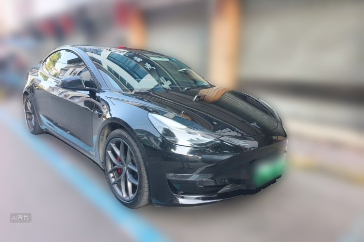 Tesla Model 3 2021 car image #4