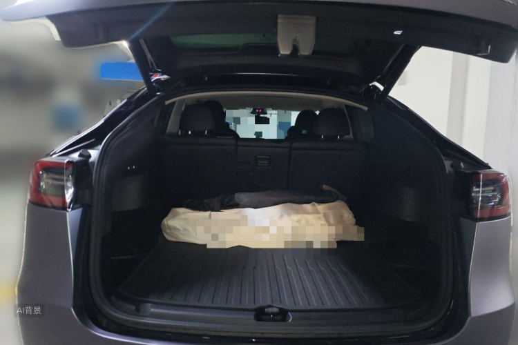 Tesla Model Y 2023 #21 Tesla Model Y 2023 صورة سيارة #21