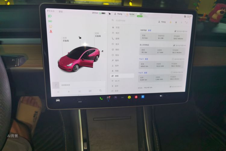 Tesla Model 3 2020 car image #15