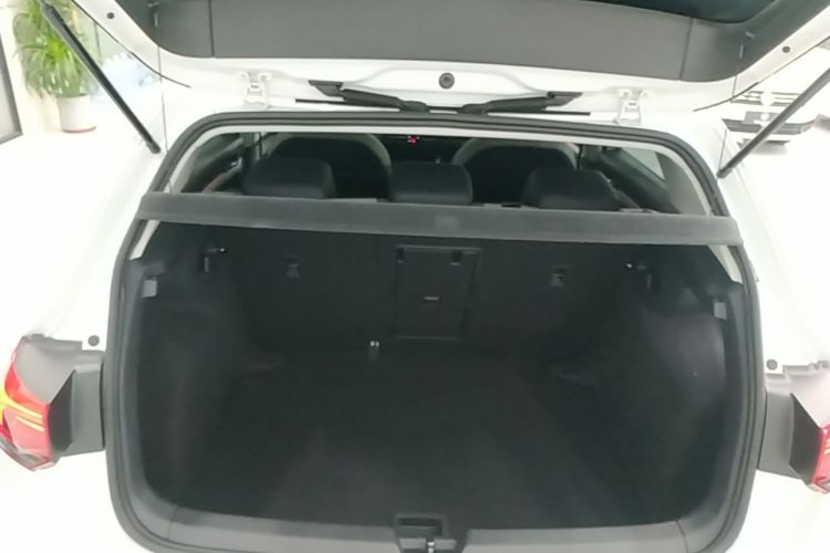 Volkswagen Golf 2022 car image #19